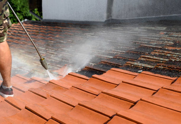 Best Roof Power Washing Services  in Fort Loramie, OH